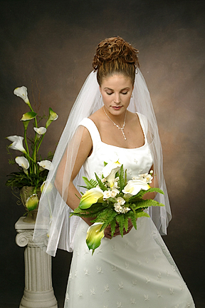 Bridal Veil BR004